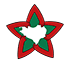 Ikonoa-izarra-100px-x-100px.png